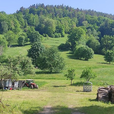 Les Studios Du Frankenthal Stosswihr Bagian luar foto
