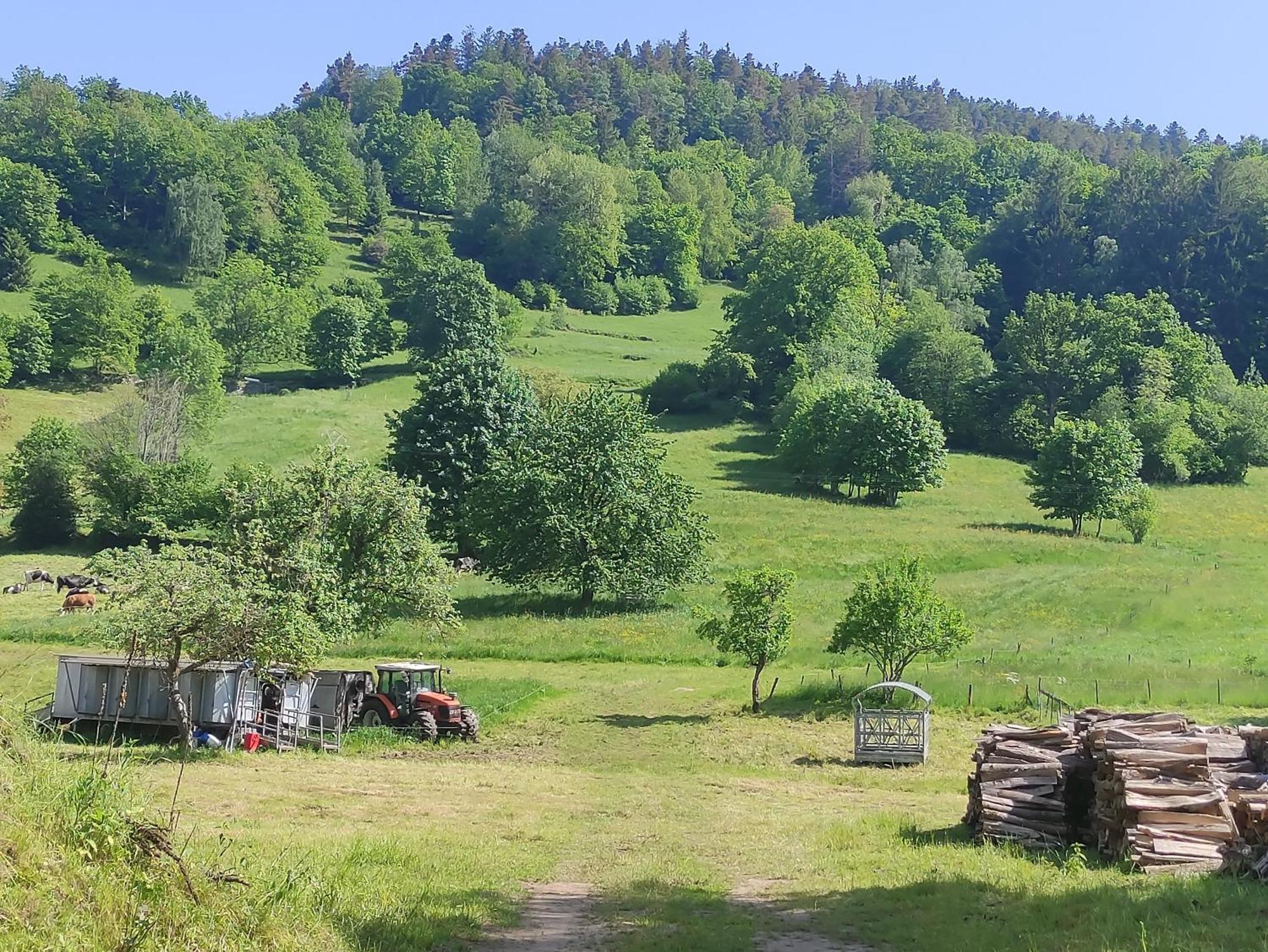 Les Studios Du Frankenthal Stosswihr Bagian luar foto