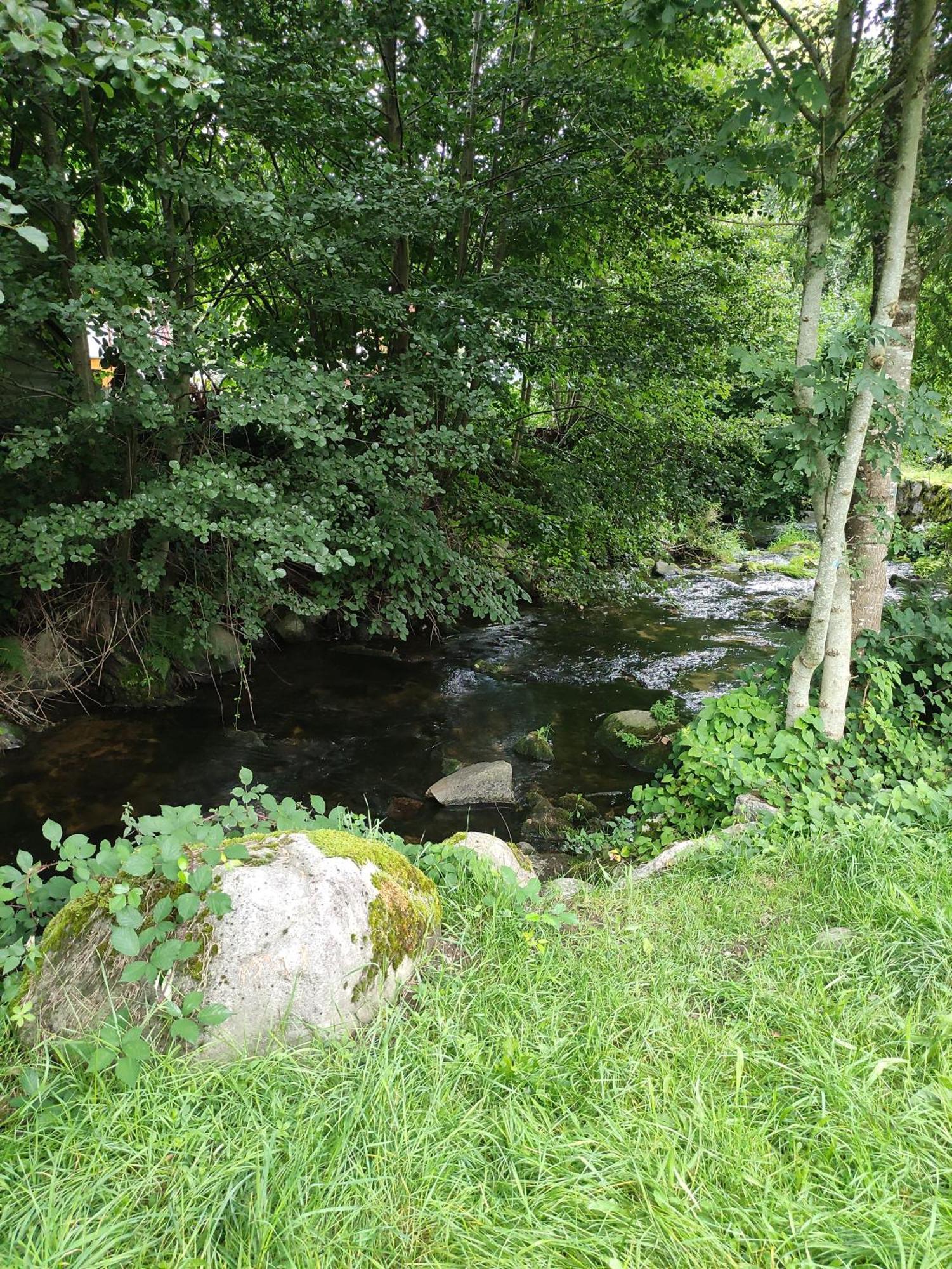 Les Studios Du Frankenthal Stosswihr Bagian luar foto
